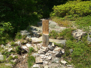 Schoodic trail marker